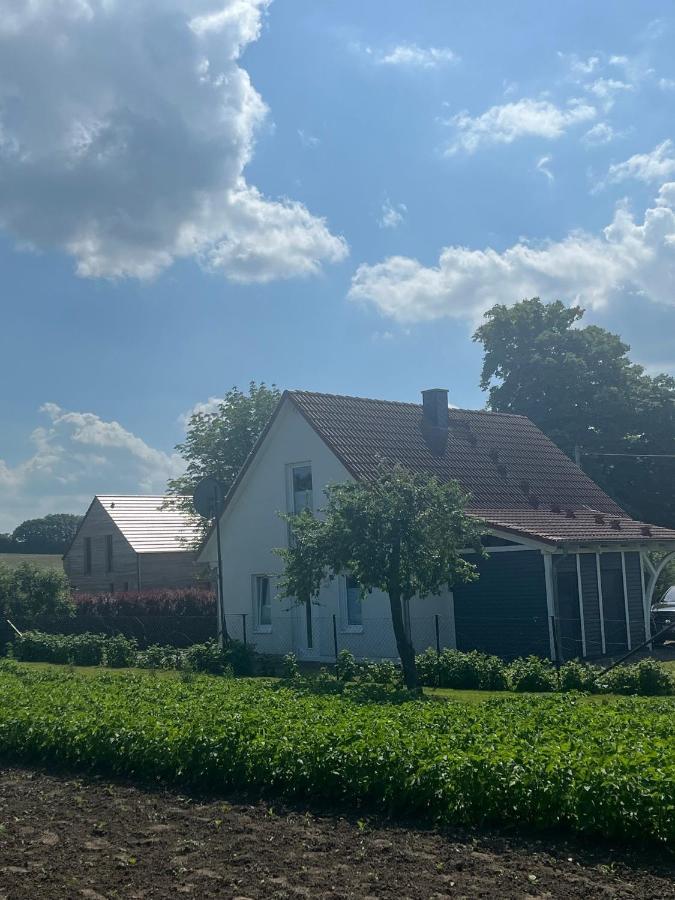 Ferienhaus Muschel Kalkhorst 外观 照片